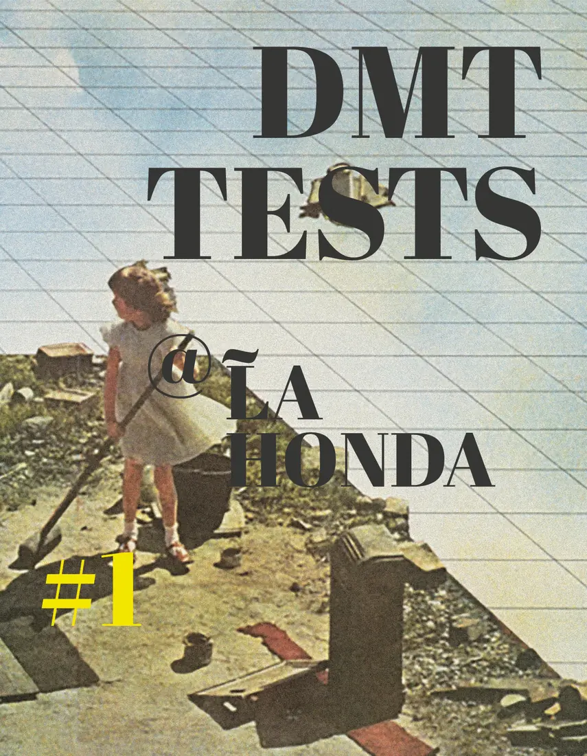 Affiche des DMT Tests : une enfant balaie un toit de tuiles, le titre en capitales grasses au-dessus d'elle
