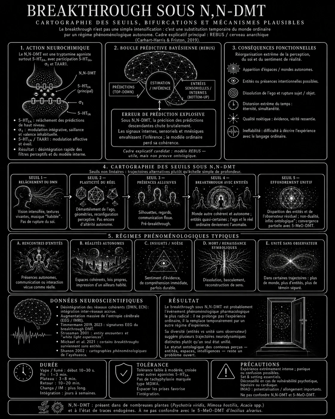 Breakthrough sous N,N-DMT