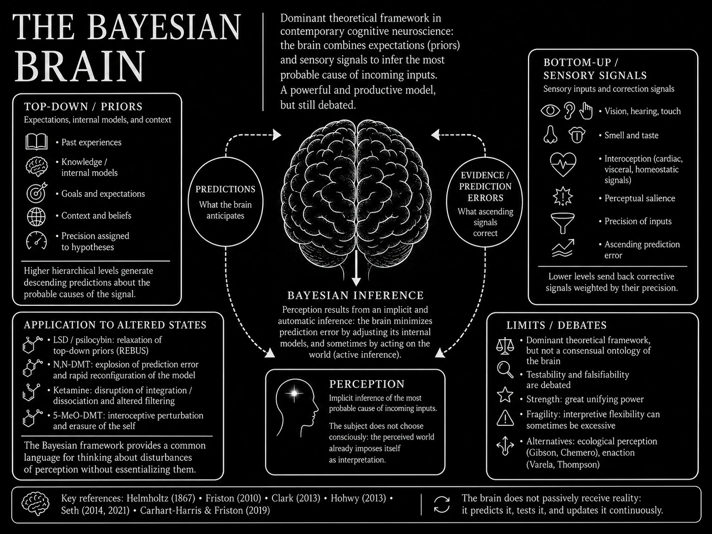 The Bayesian brain