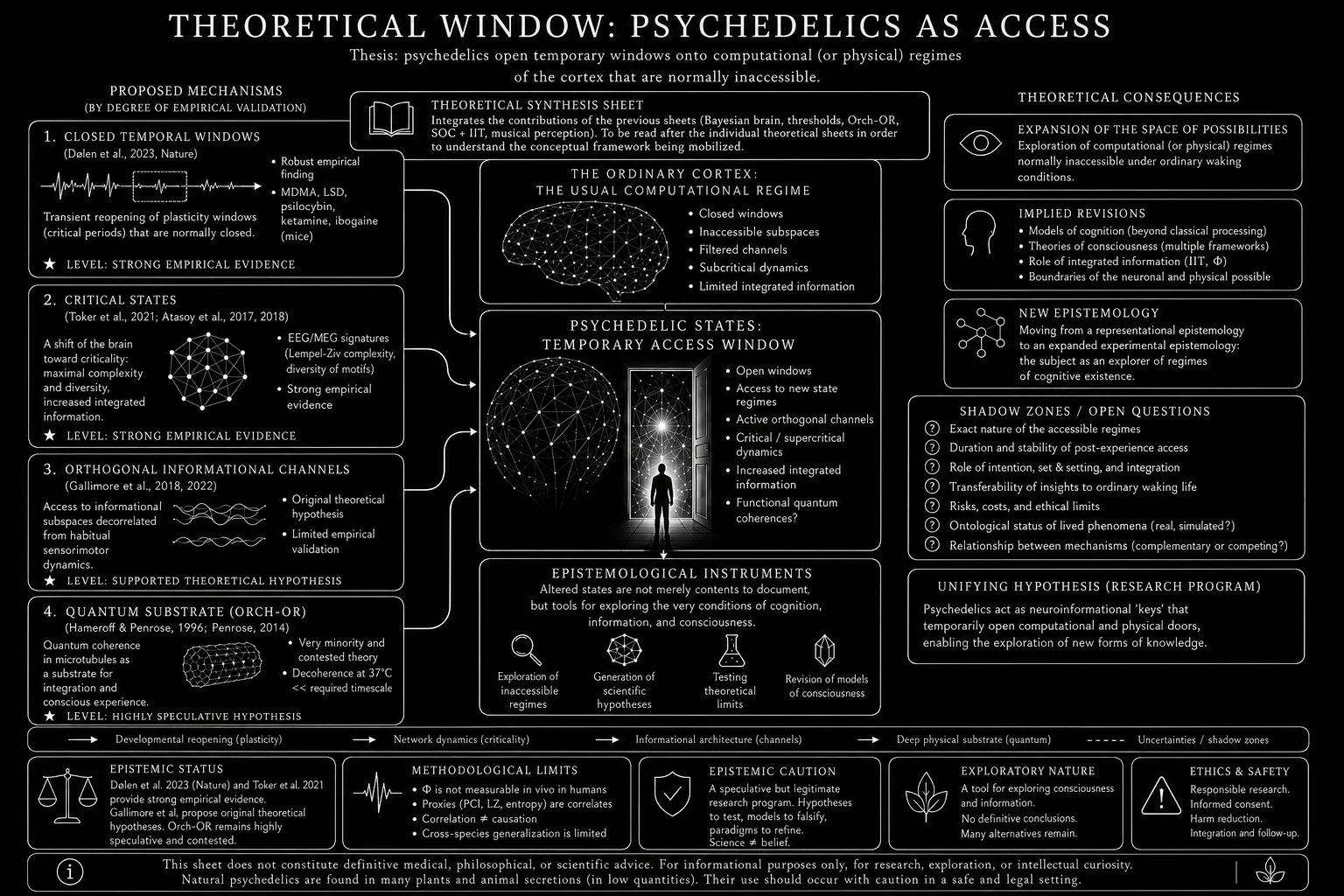 Theoretical window: psychedelics as access