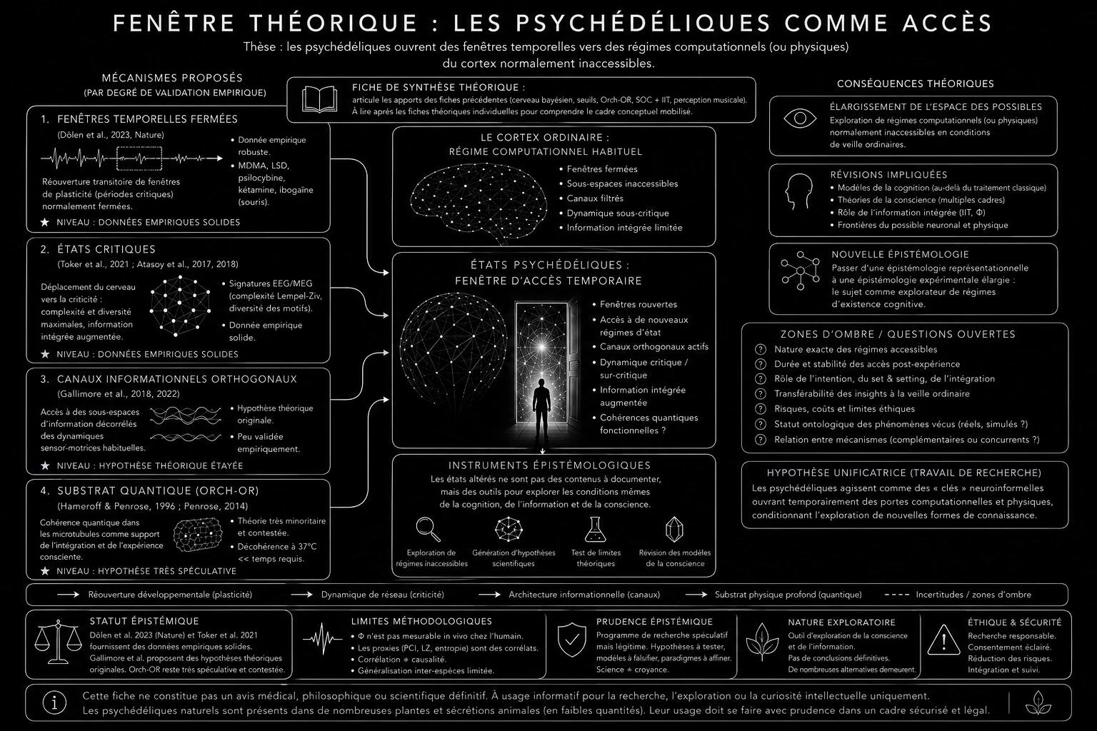 Fenêtre théorique : les psychédéliques comme accès