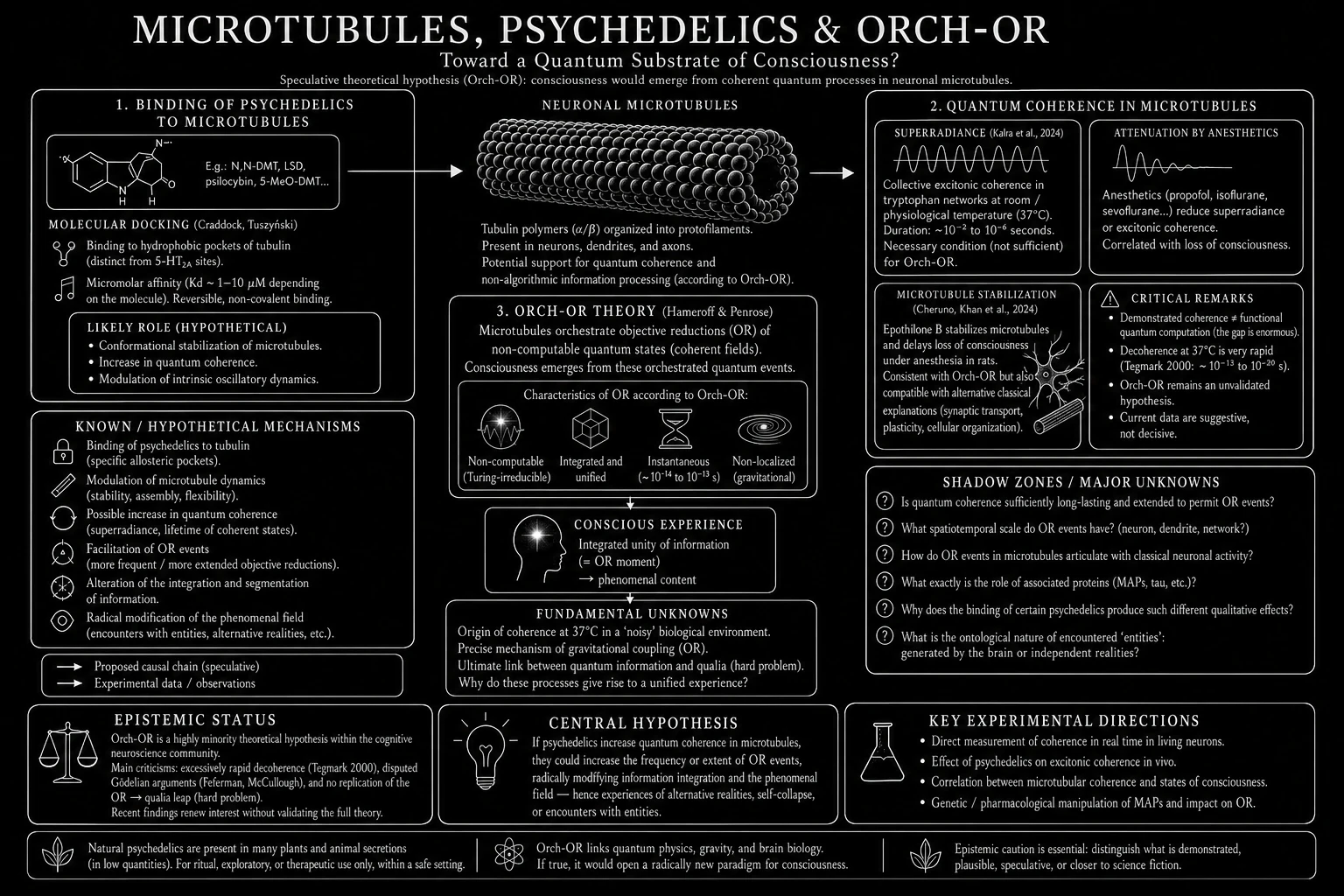 Microtubules, psychedelics & Orch-OR