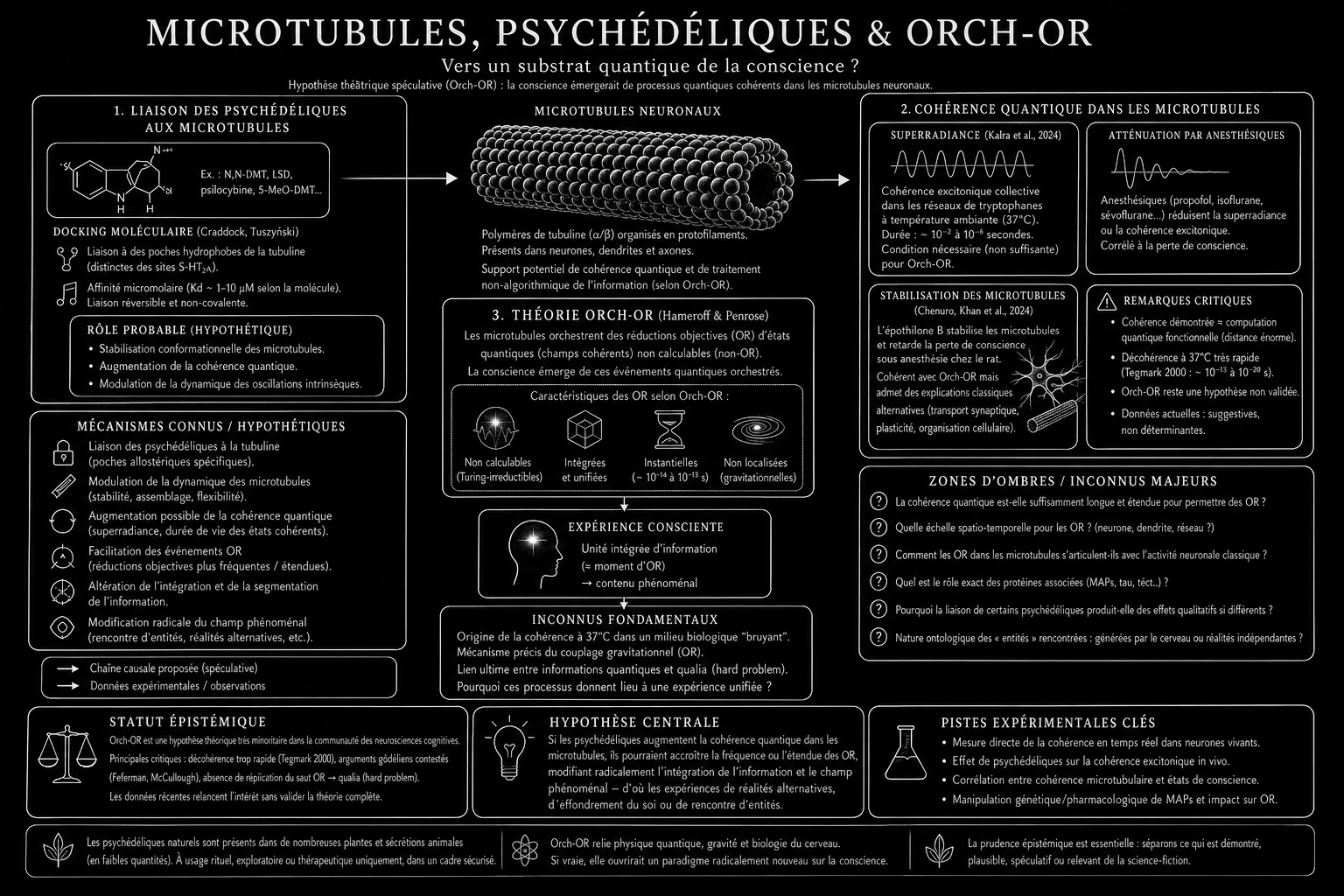 Microtubules, psychédéliques & Orch-OR
