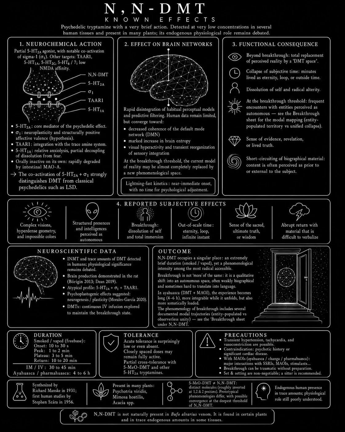 N,N-DMT