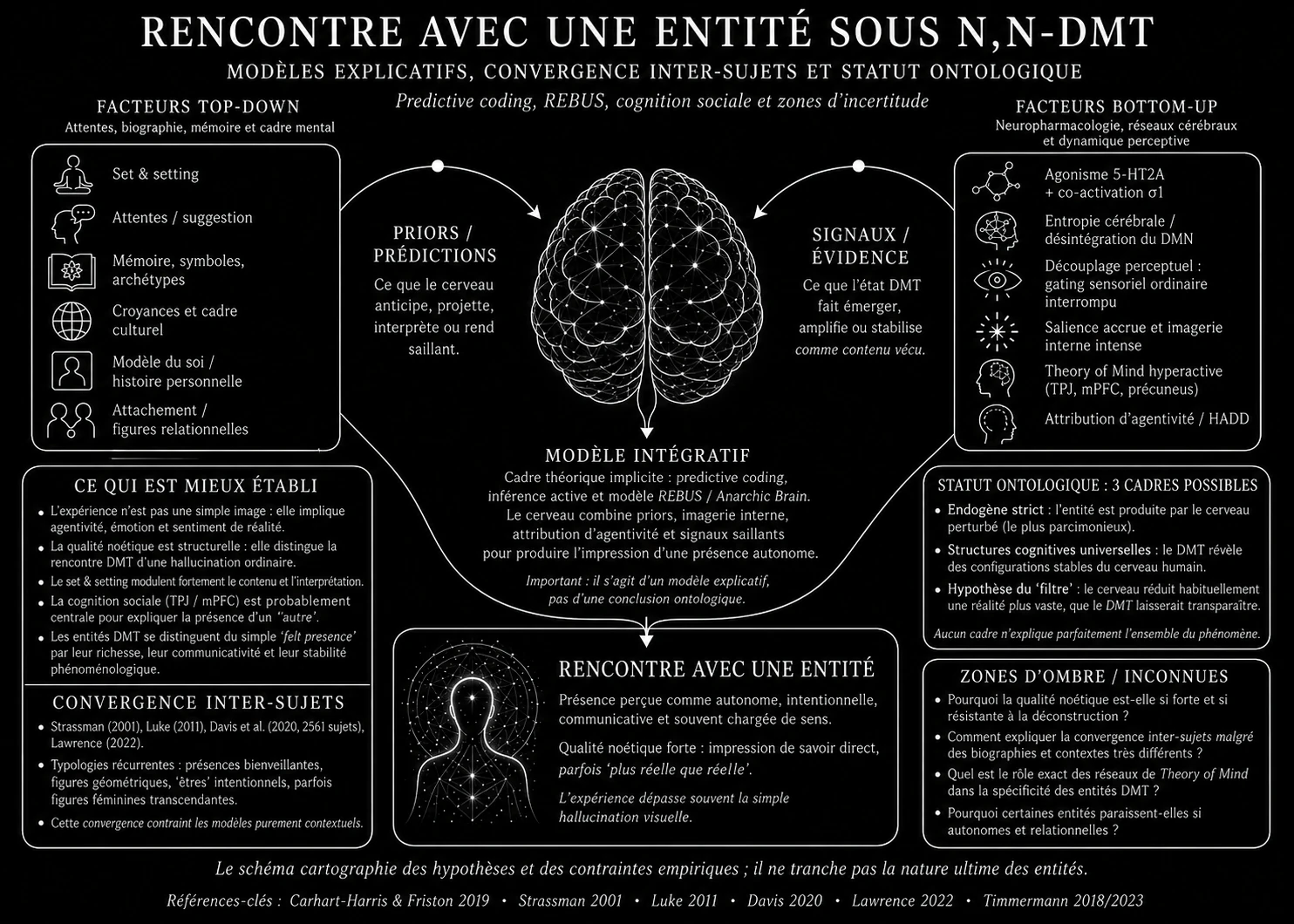 Rencontre avec une entité sous N,N-DMT